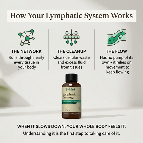 Sylairé Lymphatic Drainage Drops